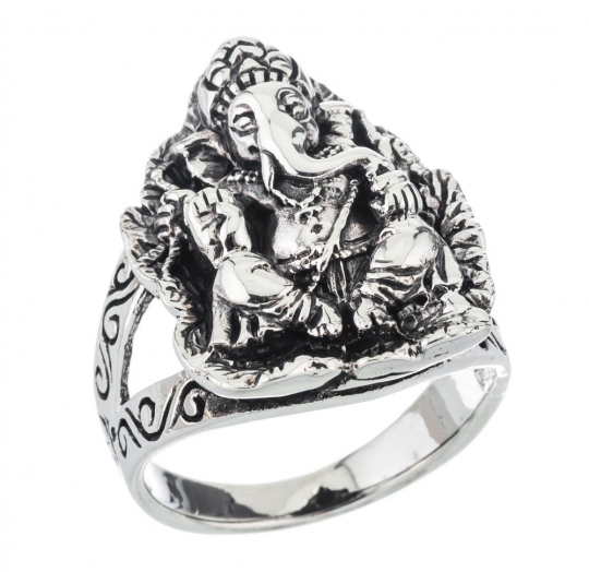 Anillo liso oscuro